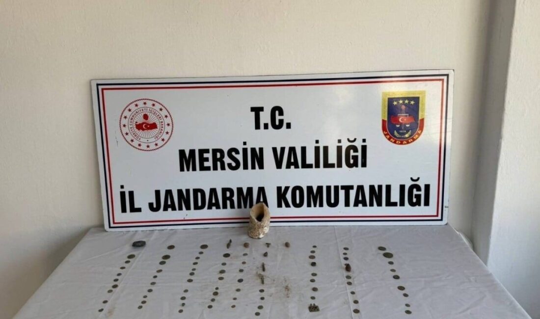 Mersin’in Bozyazı ilçesinde düzenlenen tarihi eser operasyonunda, 1 şüpheli jandarma