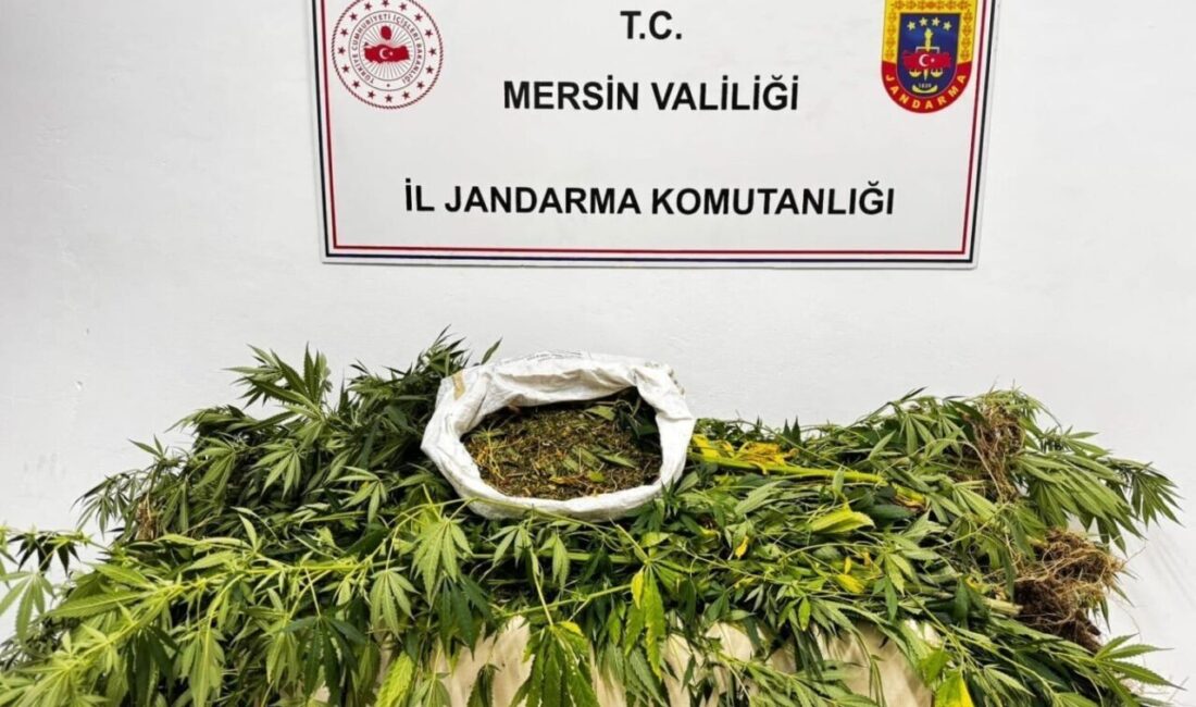 Mersin’de uyuşturucu madde ticareti yapmak amacıyla yasadışı ekim yapan 1