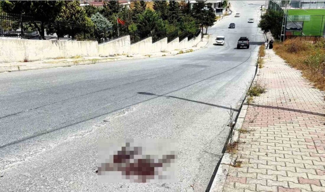 İstanbul’un Arnavutköy ilçesinde, iki kardeş arasında çıkan tartışma silahlı kavgaya