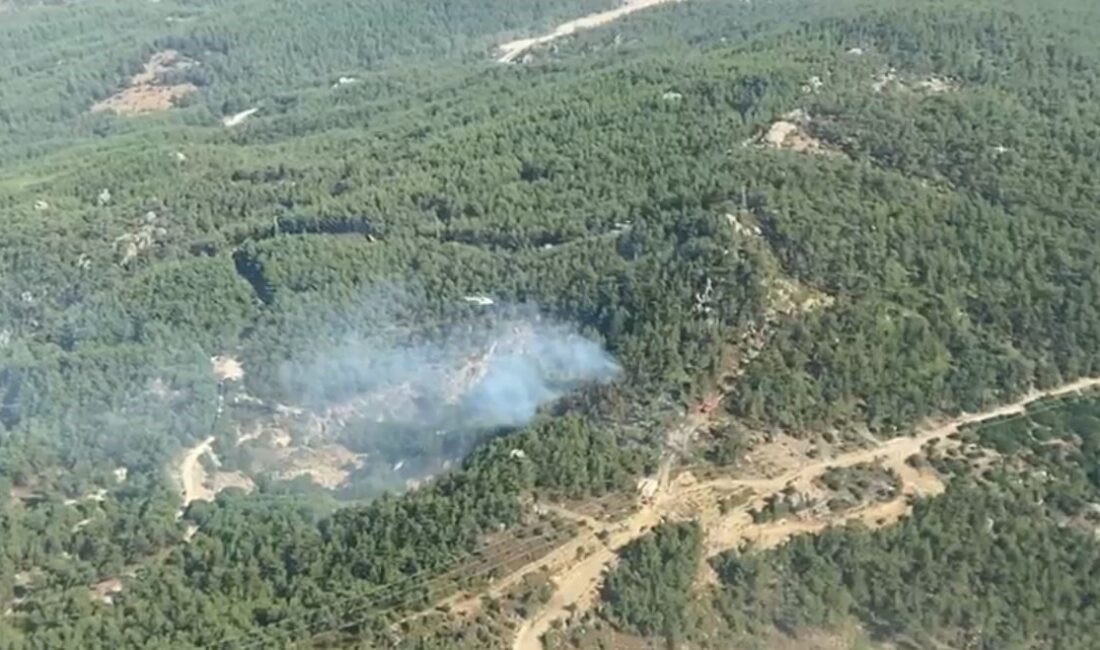 Muğla’nın Milas ilçesi Türbe-Ortaköy bölgesinde çıkan orman yangını kontrol altına