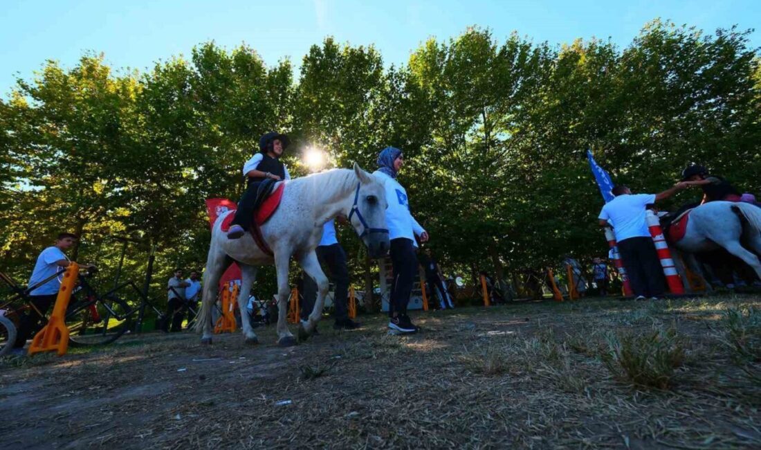 Sakarya Kültür Sanat Festivali çerçevesinde düzenlenen ‘Pony Atlar’ etkinliğinde çocuklar
