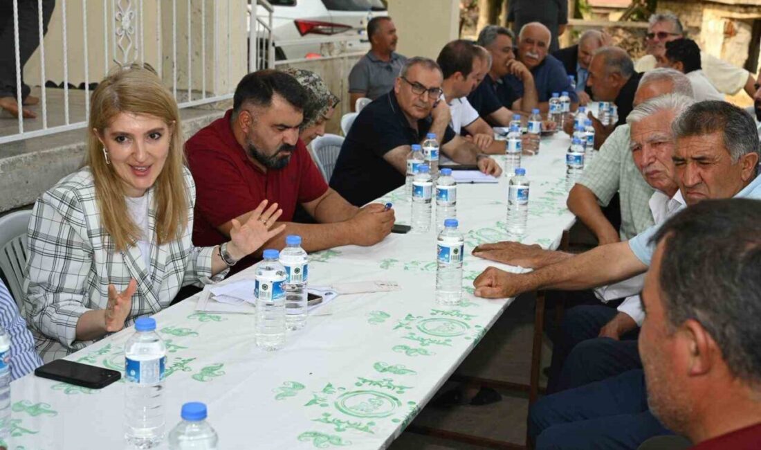 AK Parti Malatya Milletvekili İnanç Siraç Kara Ölmeztoprak, Kale ve