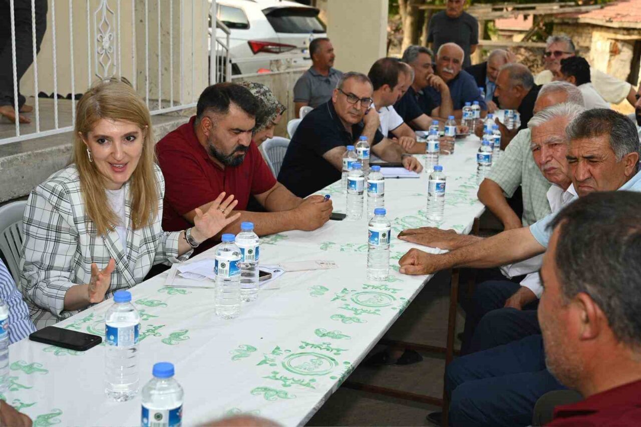 AK Parti Malatya Milletvekili İnanç Siraç Kara Ölmeztoprak, Kale ve