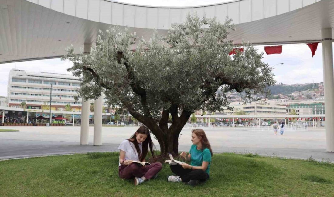 Kocaeli’de milyonlarca ağacı toprakla buluşturan büyükşehir belediyesi, İzmit Milli İrade