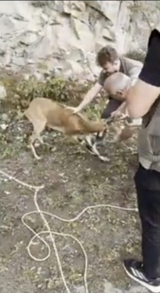 Giresun’un Dereli ilçesi İkisu mevkiinde sürekli karayoluna inerek trafik güvenliğini