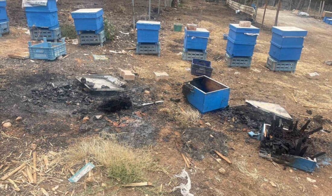 Bursa’nın Gürsu ilçesinde gecenin alevlerle aydınlandığı yangında milyonlarca arı ateşe