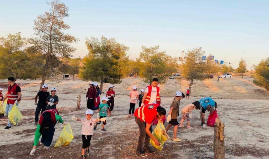 Şanlıurfa’nın Ceylanpınar ilçesinde, gönüllü bir grup tarafından mesire alanında toplanan