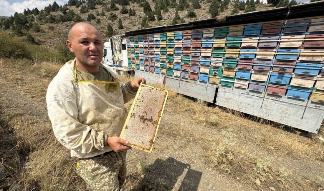 Antalya’nın Manavgat ilçesinde yaşayan bal üreticisi geliştirdiği “Mobil arıcılık sistemi”