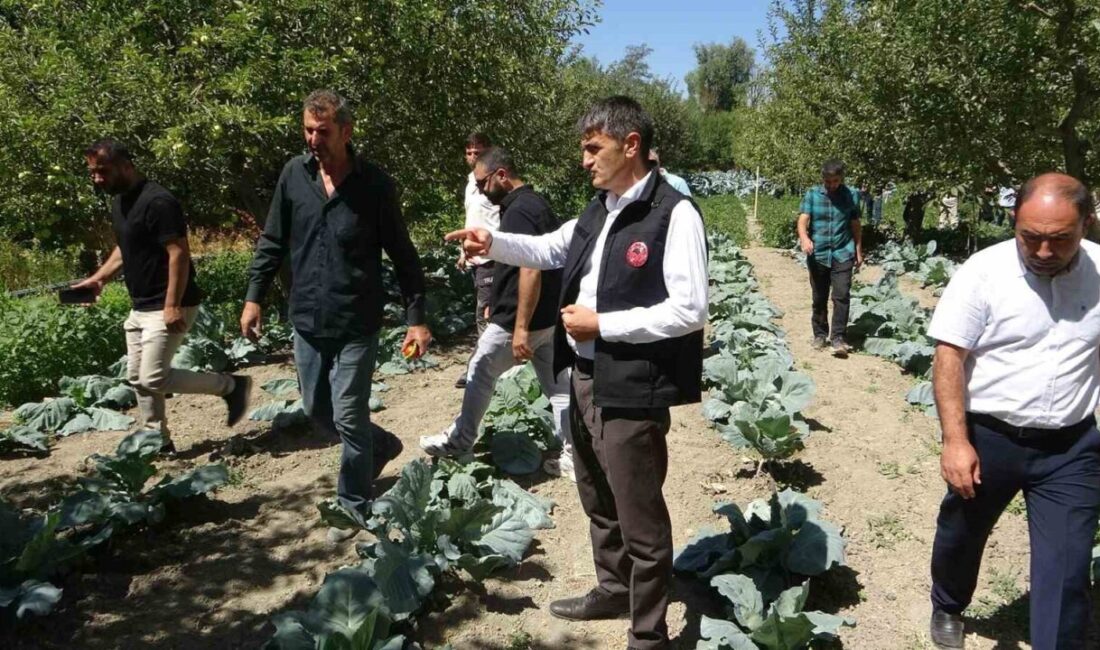 Van’ın İpekyolu ilçesinde Necmi Terim isimli çiftçi, devletten aldığı hibe