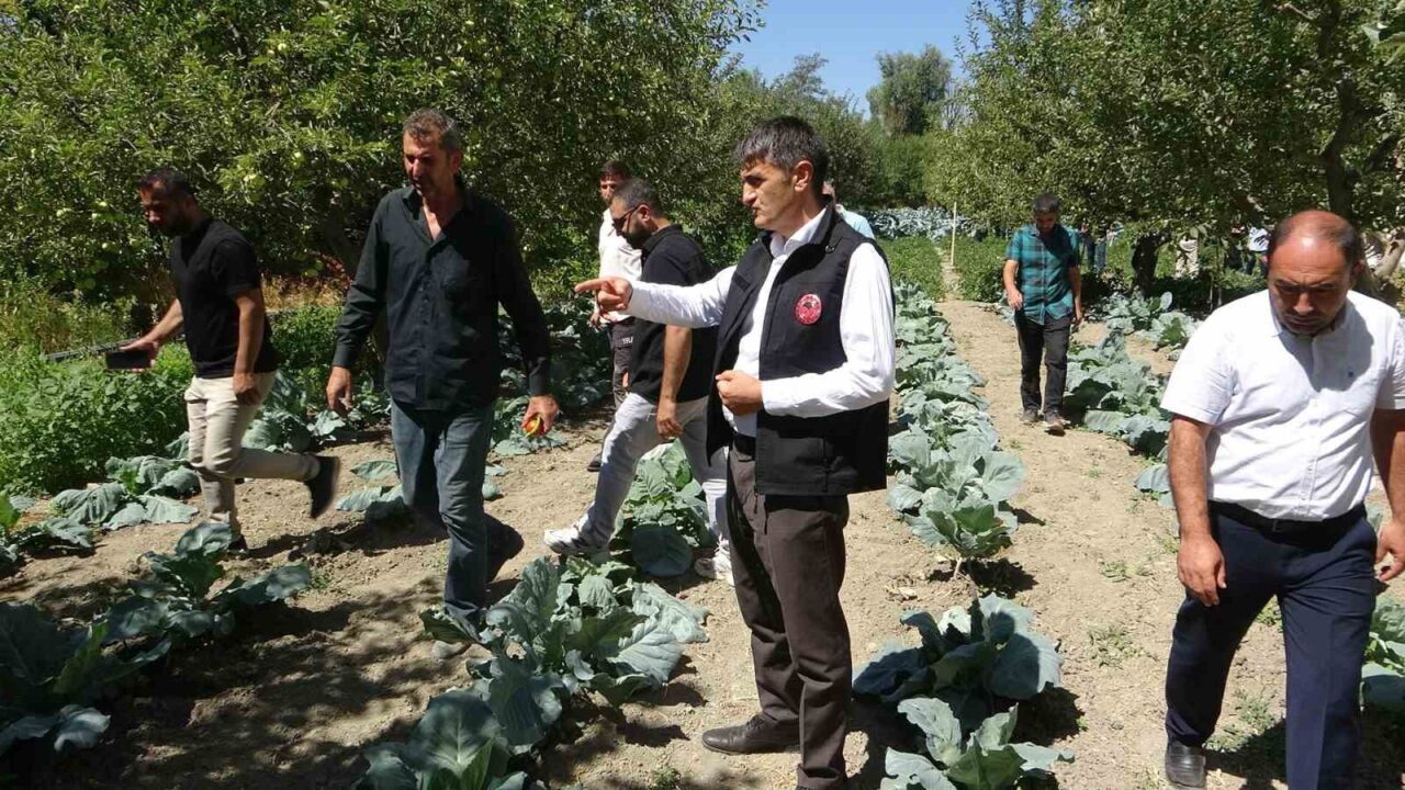 Van’ın İpekyolu ilçesinde Necmi Terim isimli çiftçi, devletten aldığı hibe