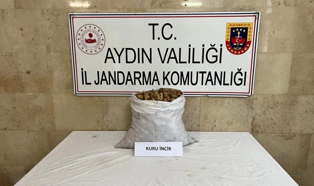 Aydın’ın Germencik ilçesinde motosiklet ile 50 kilo incir çalan şüpheli