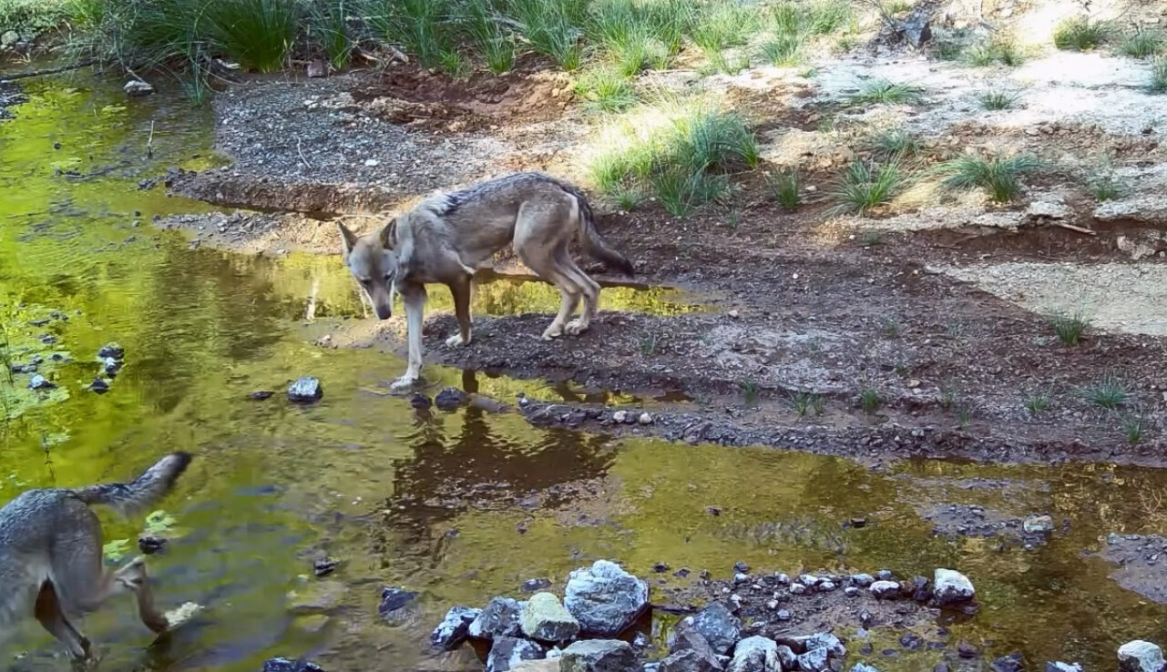 Muğla Sıtkı Koçman Üniversitesi (MSKÜ) Öğretim Üyesi Dr. Yasin İlemin,