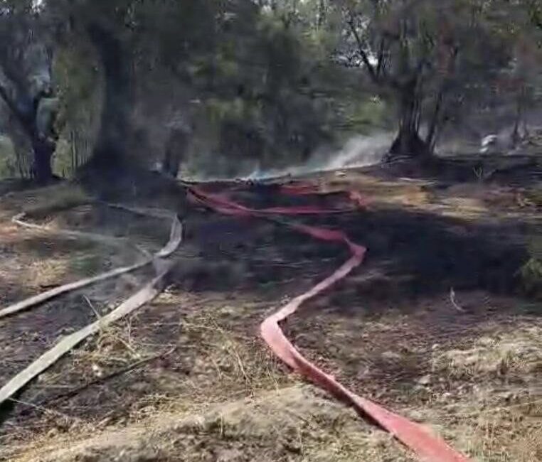 Bursa’nın Mudanya ilçesi Yörükali Mahallesi Kumbağlar bölgesinde çıkan yangın, ekiplerin