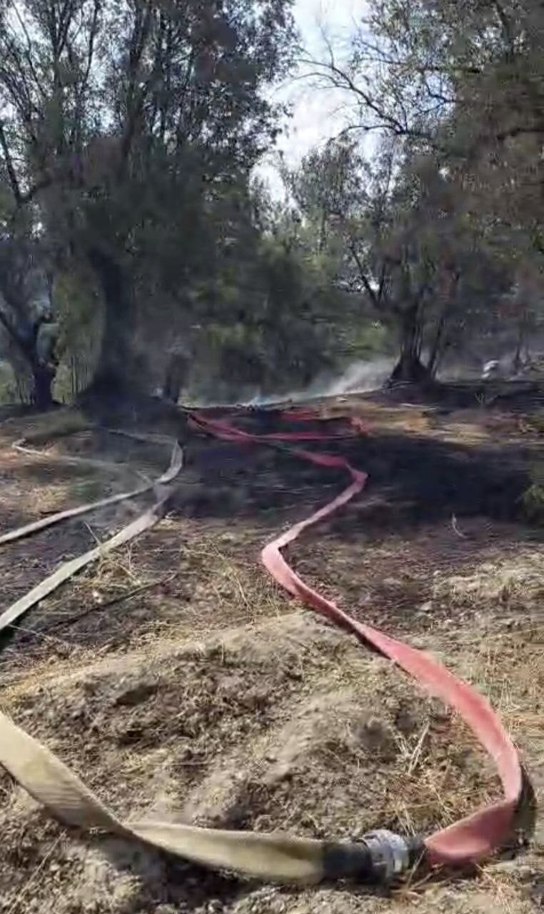 Bursa’nın Mudanya ilçesi Yörükali Mahallesi Kumbağlar bölgesinde çıkan yangın, ekiplerin