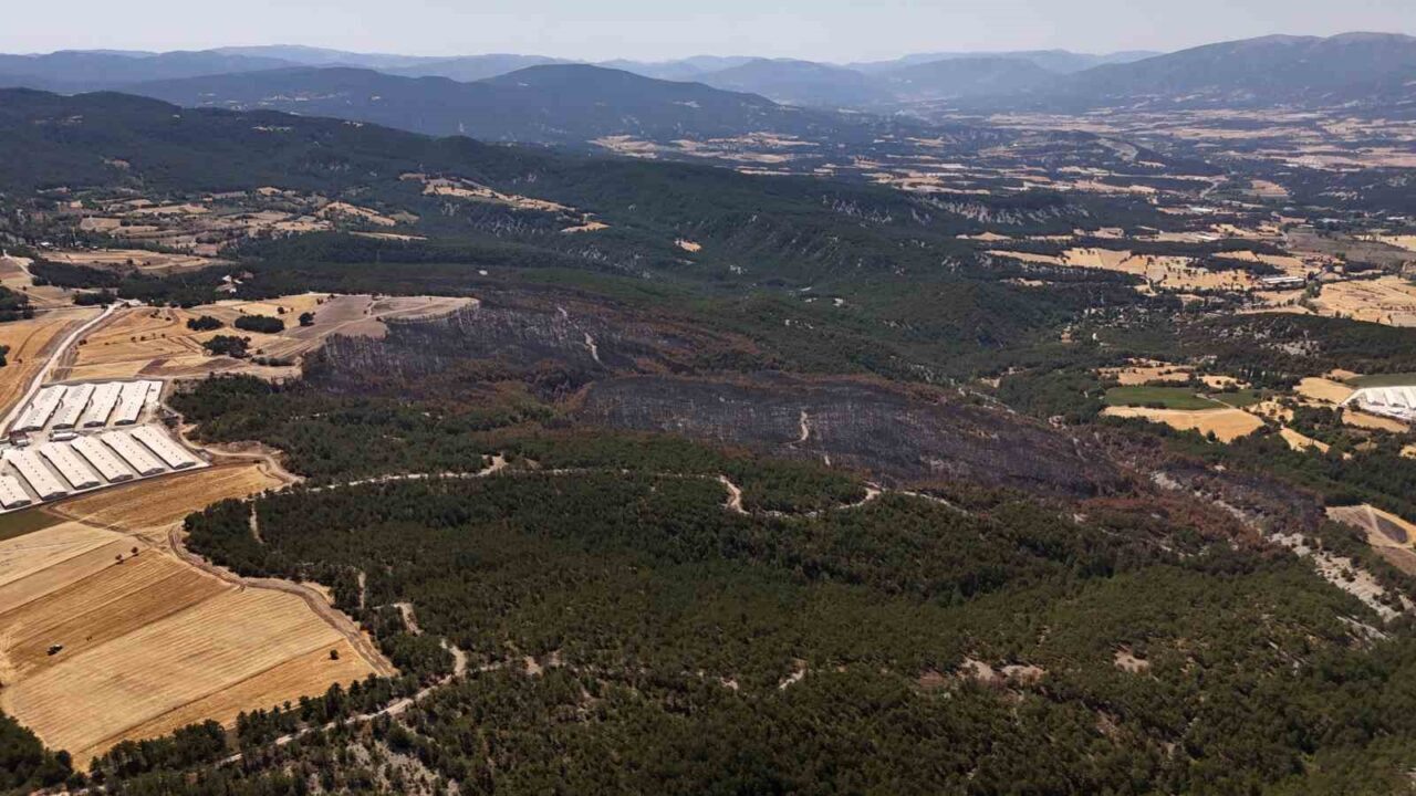 Bolu’nun Mudurnu ilçesinde geçtiğimiz hafta çıkan orman yangınında 66 hektarlık