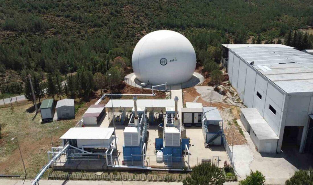 İklim değişikliğiyle mücadeleye önem veren Muğla Büyükşehir Belediyesi, biyokütle enerji