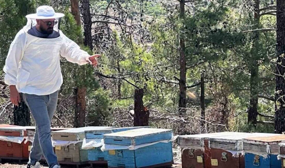 2025 arılı kovan desteklemeleri için tespit çalışmaları başladı. Muğla’daki arı