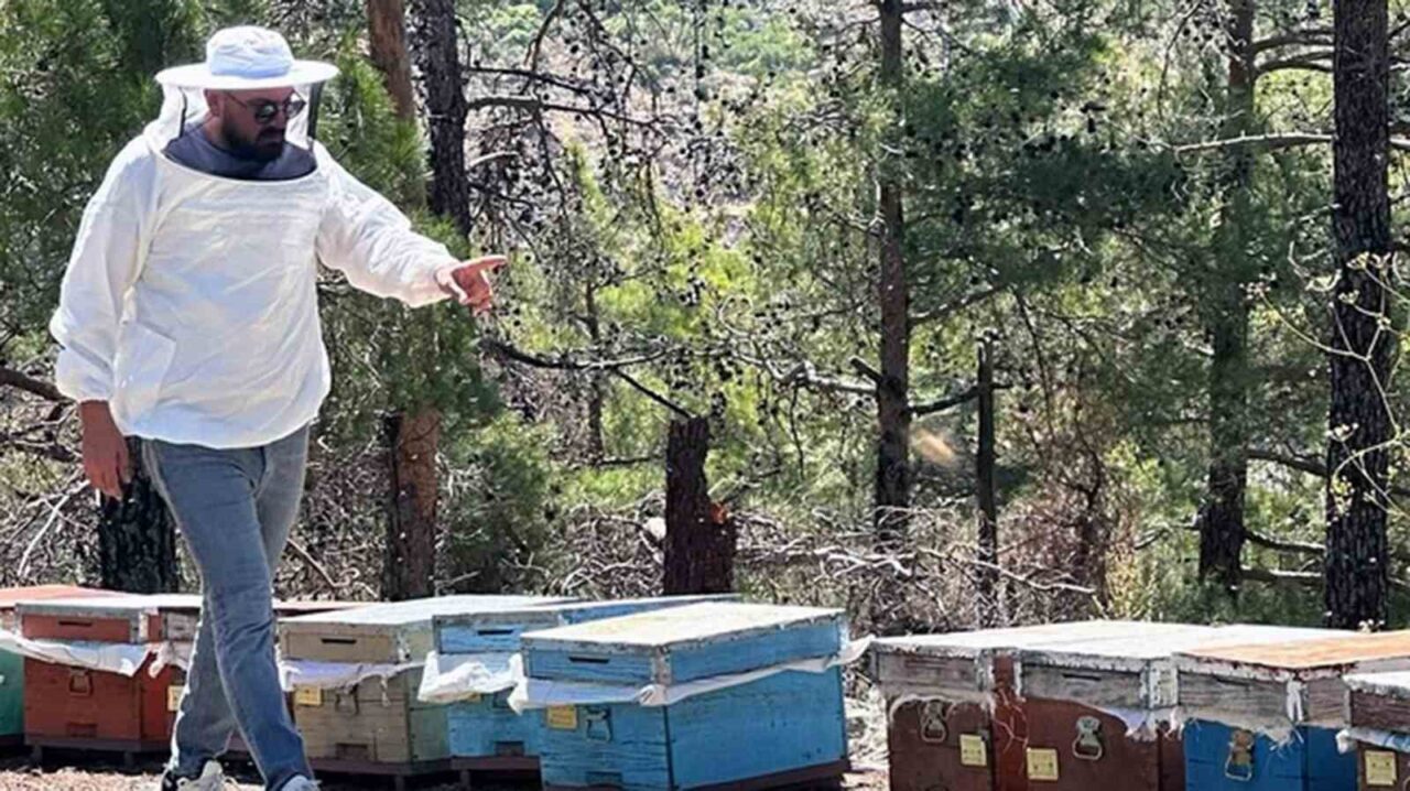 2025 arılı kovan desteklemeleri için tespit çalışmaları başladı. Muğla’daki arı