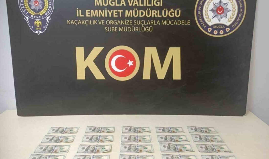 Muğla’nın Menteşe ilçesinde piyasaya sahte dolar sürmeye hazırlanan bir kişi,