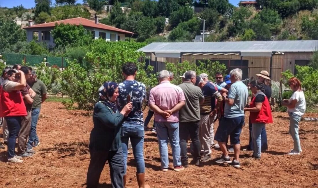 Muğla İl Tarım ve Orman Müdürlüğü tarafından 2018 yılında Fethiye’ye