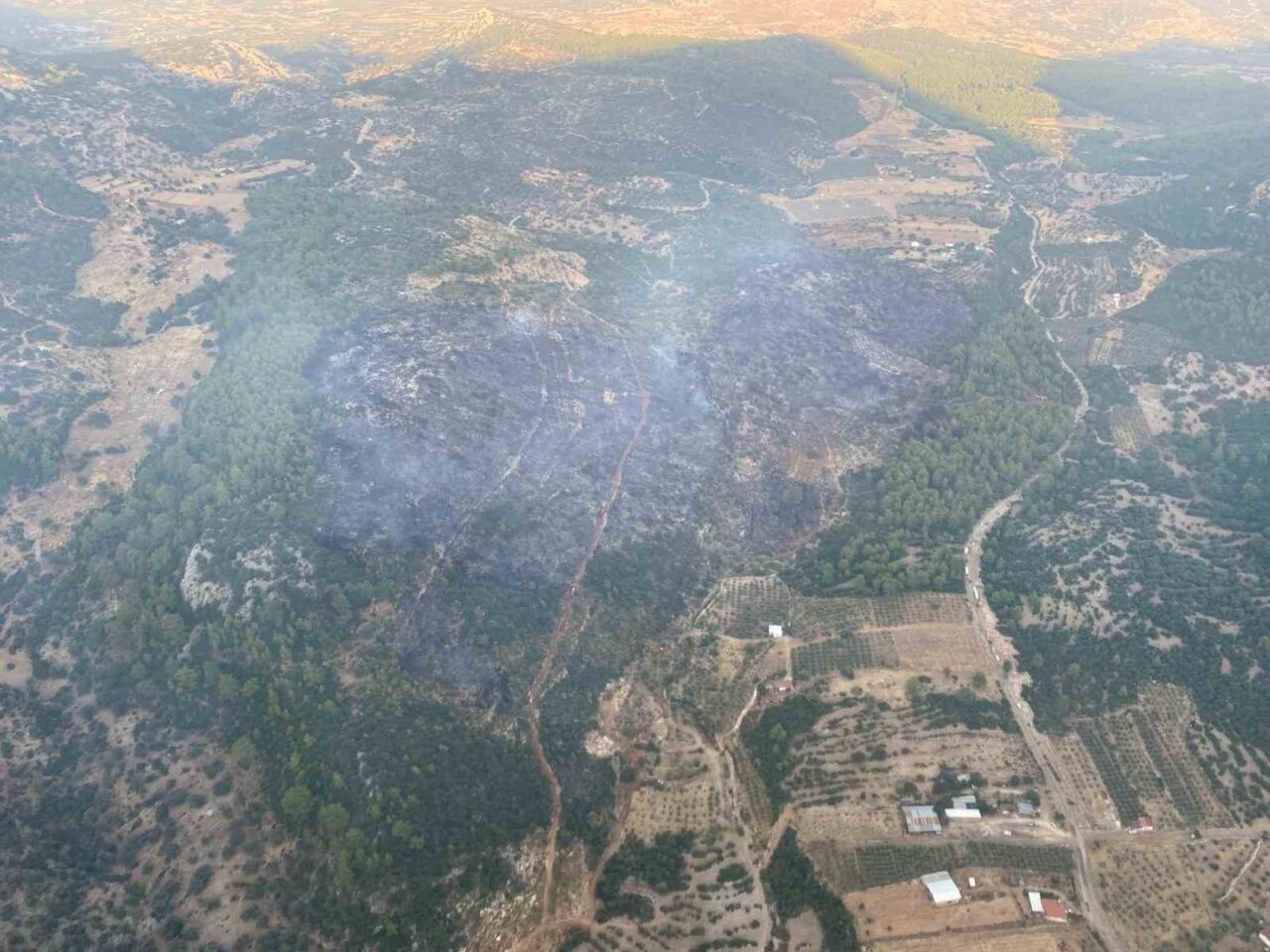Muğla’nın Seydikemer ilçesinde yerleşim yerine yakın makilik alanda çıkan ve