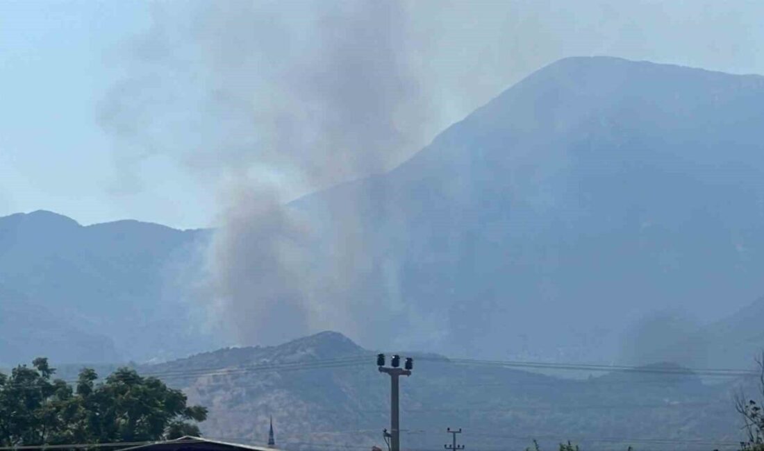 Muğla’nın Seydikemer ilçesinde yerleşim yerine yakın makilik alanda çıkan ve