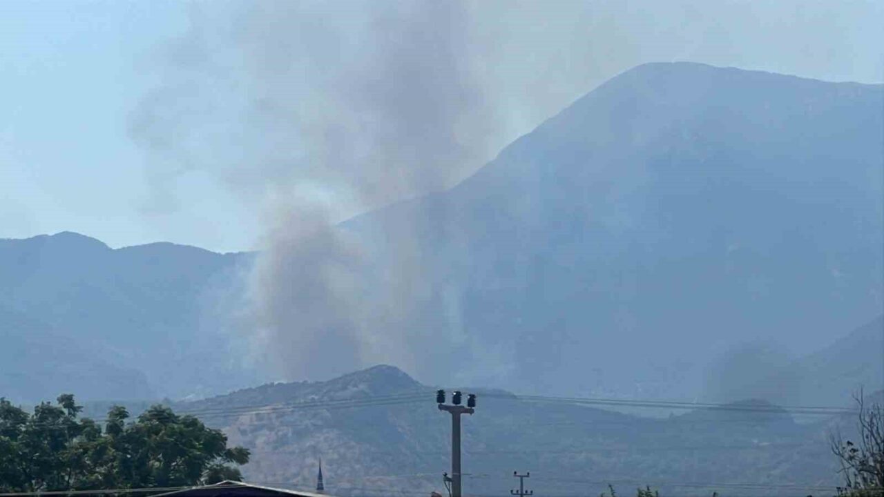 Muğla’nın Seydikemer ilçesinde yerleşim yerine yakın makilik alanda çıkan ve