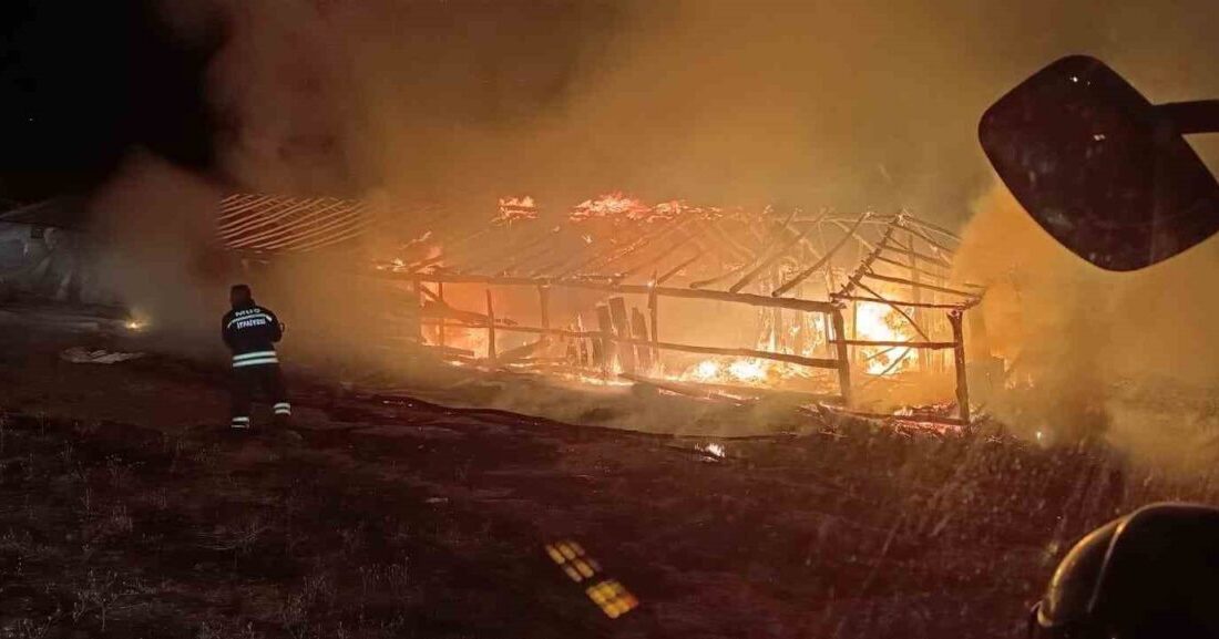 Muş’un Ağaçlık köyünde çıkan ahır yangını paniğe neden oldu. Edinilen