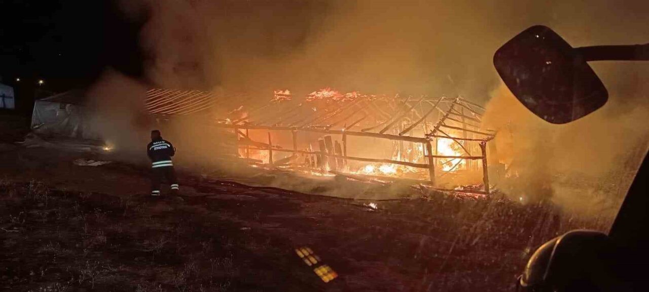 Muş’un Ağaçlık köyünde çıkan ahır yangını paniğe neden oldu. Edinilen