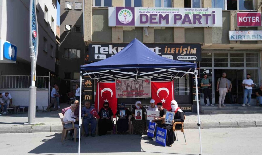 Muş’ta DEM Parti binası önünde toplanan aileler, evlatlarına teslim ol
