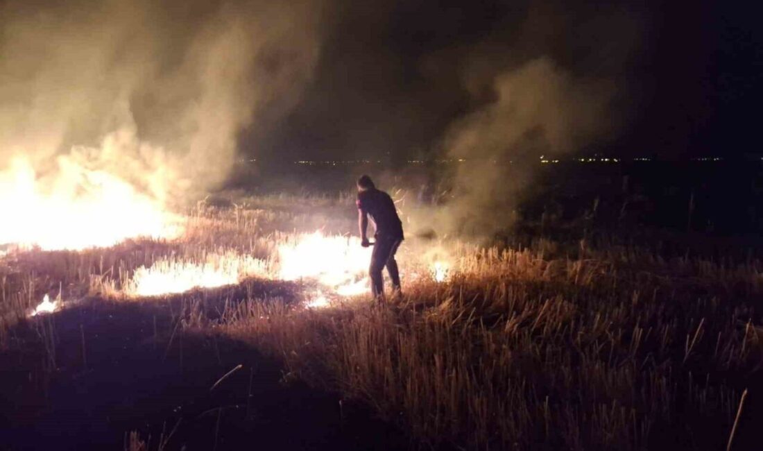 Muş’un Körpeağaç köyünde çıkan anız yangını korkulu anlar yaşatırken geceyi