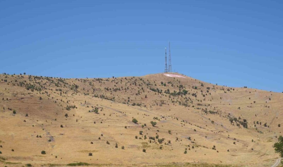 Muş’ta bağ arazileri askeri atış alanı sınırında kalan vatandaşlar, tarım