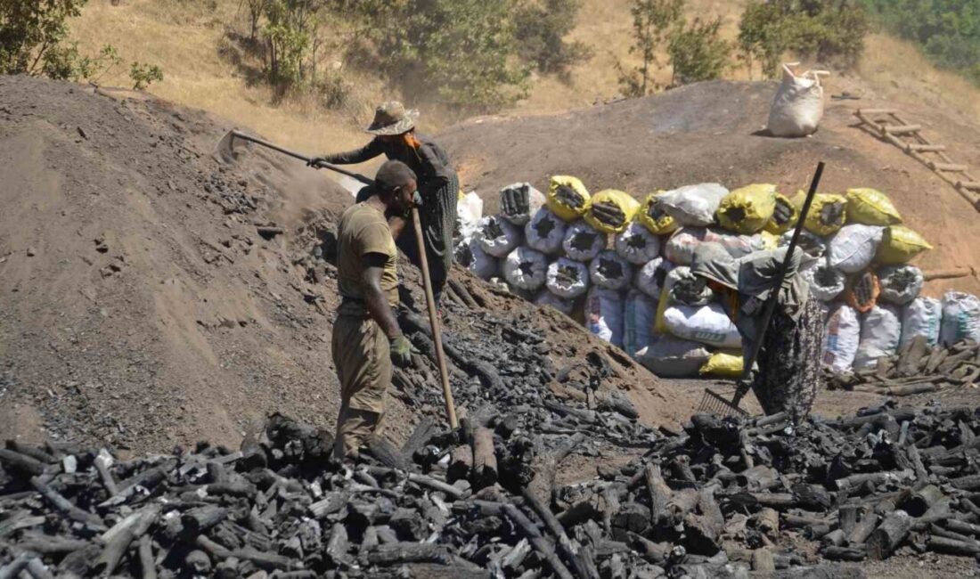 Muş’un yüksek kesimlerinde mevsimlik işçiler, kavurucu sıcak havaya ve kömür