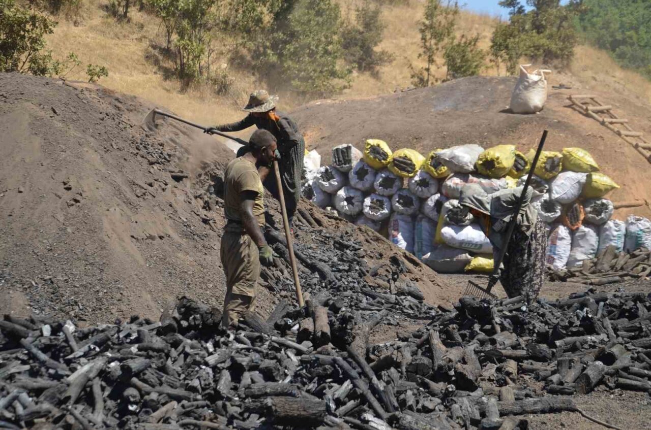 Muş’un yüksek kesimlerinde mevsimlik işçiler, kavurucu sıcak havaya ve kömür