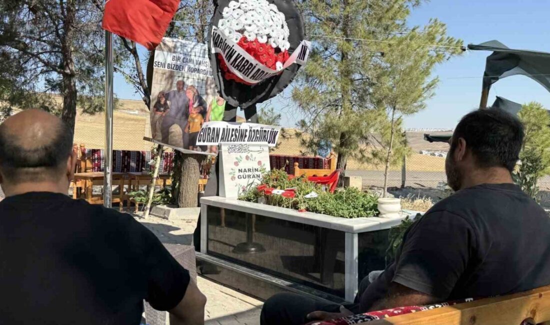 Diyarbakır’da, 21 Ağustos 2024 yılında merkez Bağlar ilçesinin kırsal Tavşantepe