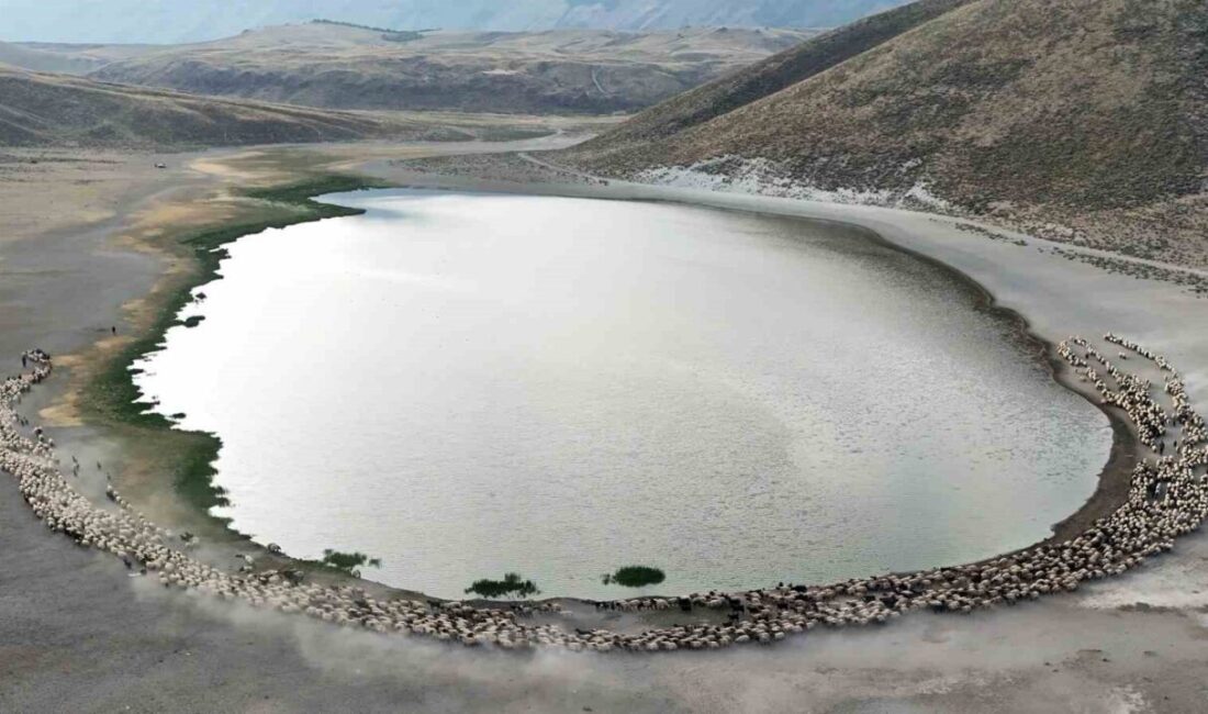 Bitlis’in Ahlat, Güroymak ve Tatvan ilçe sınırları içinde bulunan Nemrut