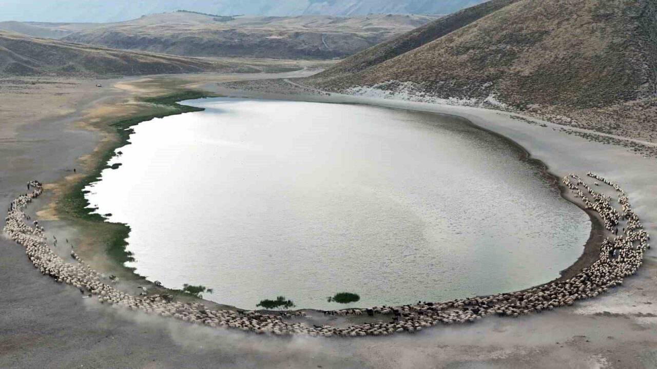 Bitlis’in Ahlat, Güroymak ve Tatvan ilçe sınırları içinde bulunan Nemrut