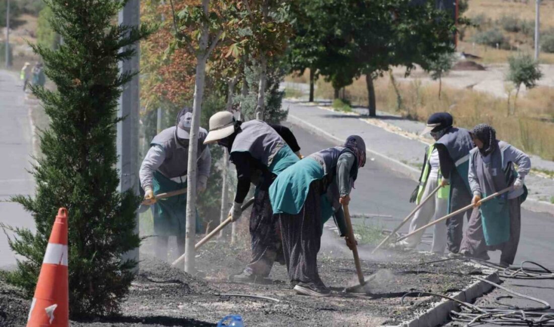 Nevşehir Belediyesi orta refüjlerde ağaçlandırma, çiçek dikimi, çim budama ve