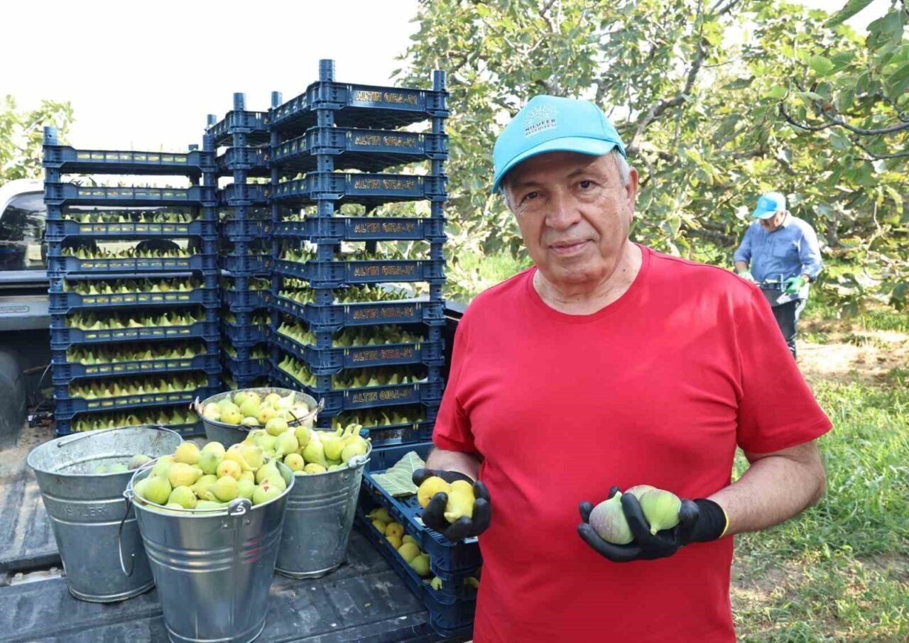 Nilüfer Belediye Başkanı Şadi Özdemir, kentin coğrafi işaretli ürünlerinden incirin