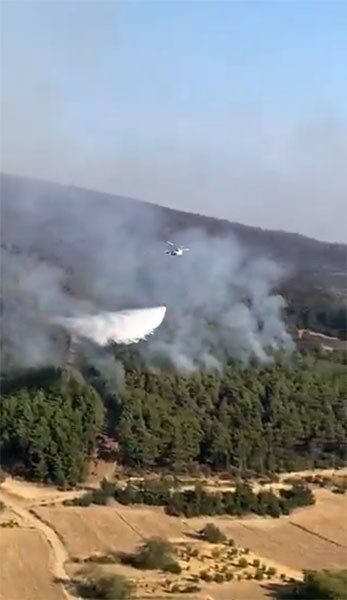 Orman Genel Müdürlüğü (OGM), Çanakkale’deki yangının büyük ölçüde kontrol altına