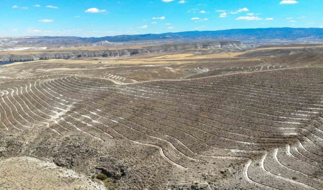 Orman Genel Müdürlüğü (OGM), Ankara’nın Nallıhan ilçesinde 600 futbol sahası