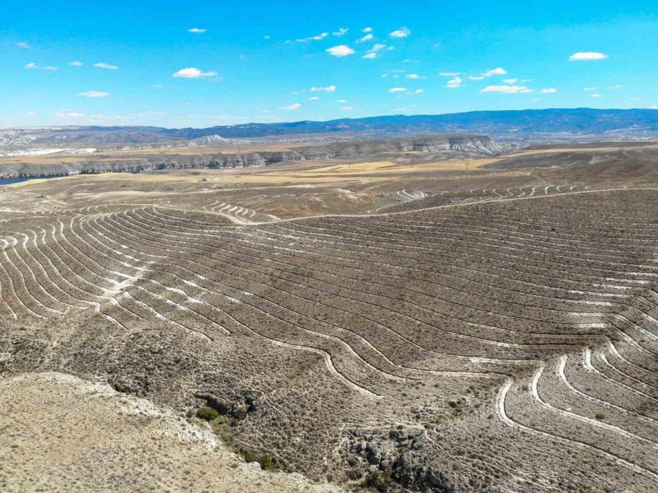 Orman Genel Müdürlüğü (OGM), Ankara’nın Nallıhan ilçesinde 600 futbol sahası