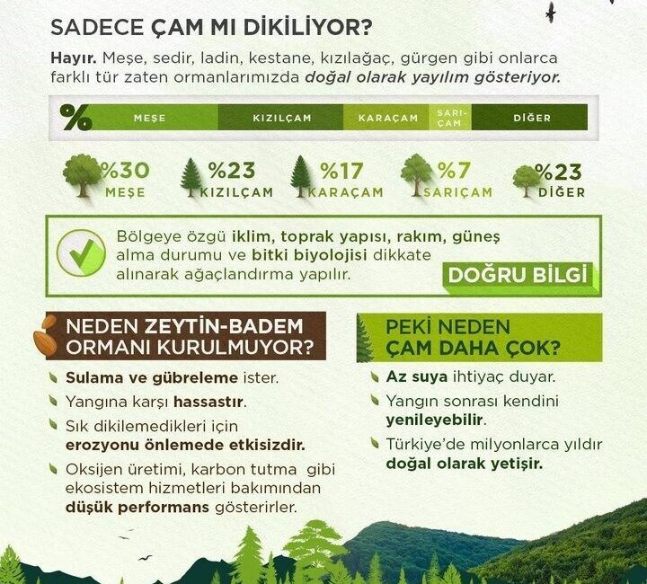 Orman Genel Müdürlüğü (OGM) tarafından orman yangınlarından sonra yürütülecek çalışmalar