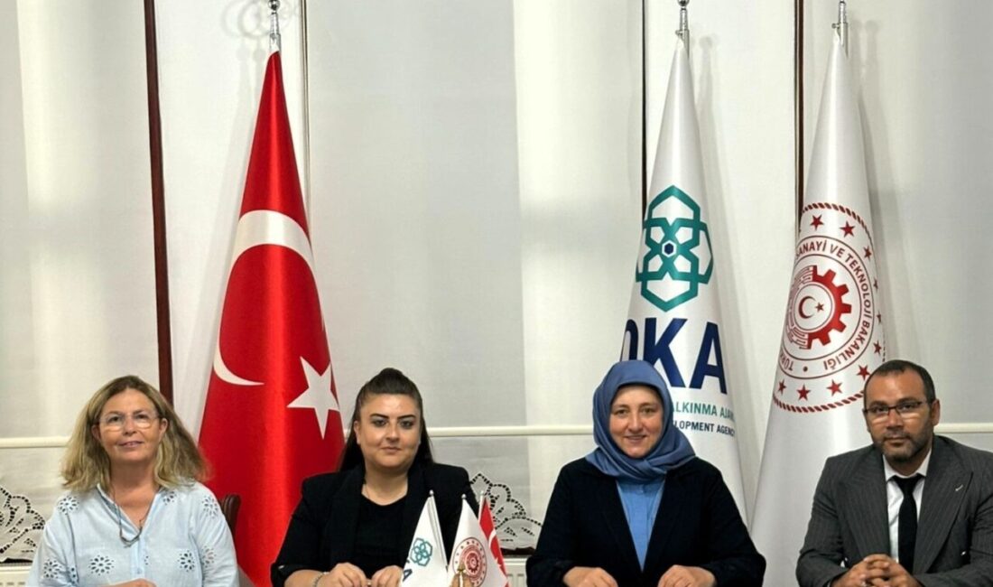 Orta Karadeniz Kalkınma Ajansı (OKA), Sosyal Kalkınma ve Girişimcilik Teknik