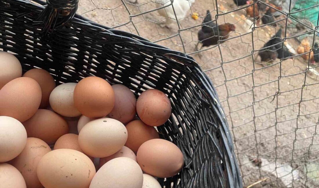 “Mayıs çukuru” denilen talebin azaldığı dönemde marketlerde fiyatı 100 liraya