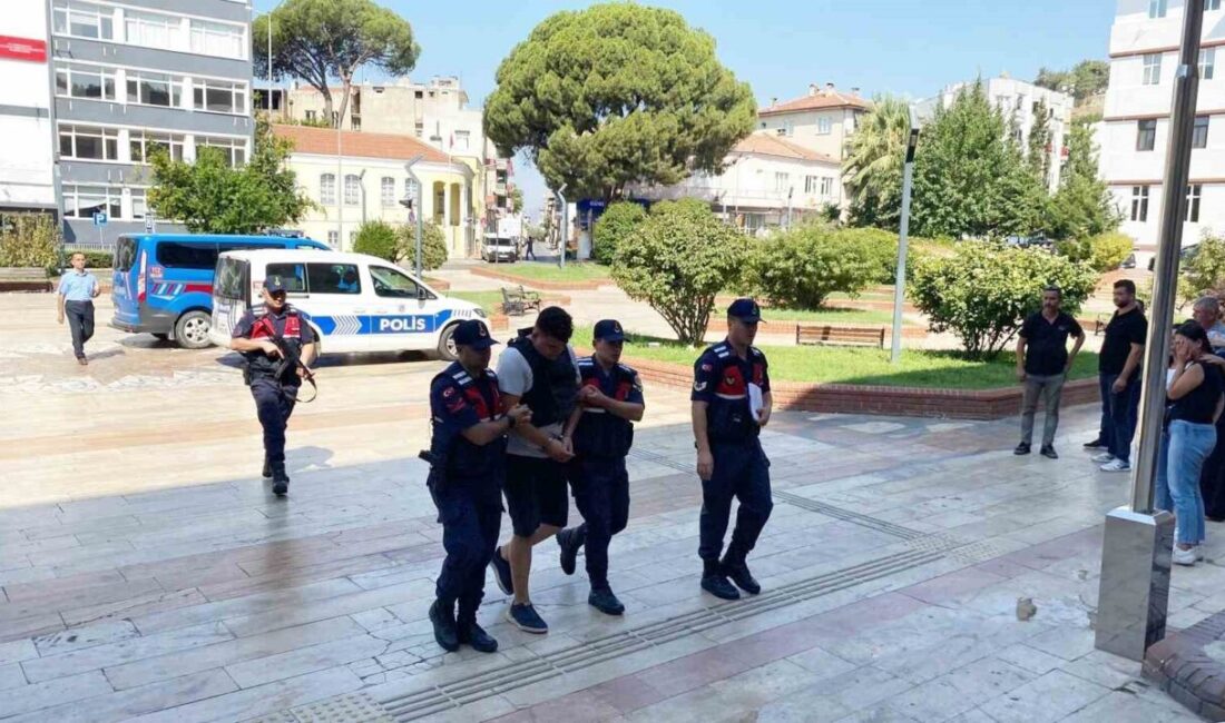 Aydın’ın İncirliova ilçesi Erbeyli Mahallesi’nde meydana gelen trafik kazasında hayatını