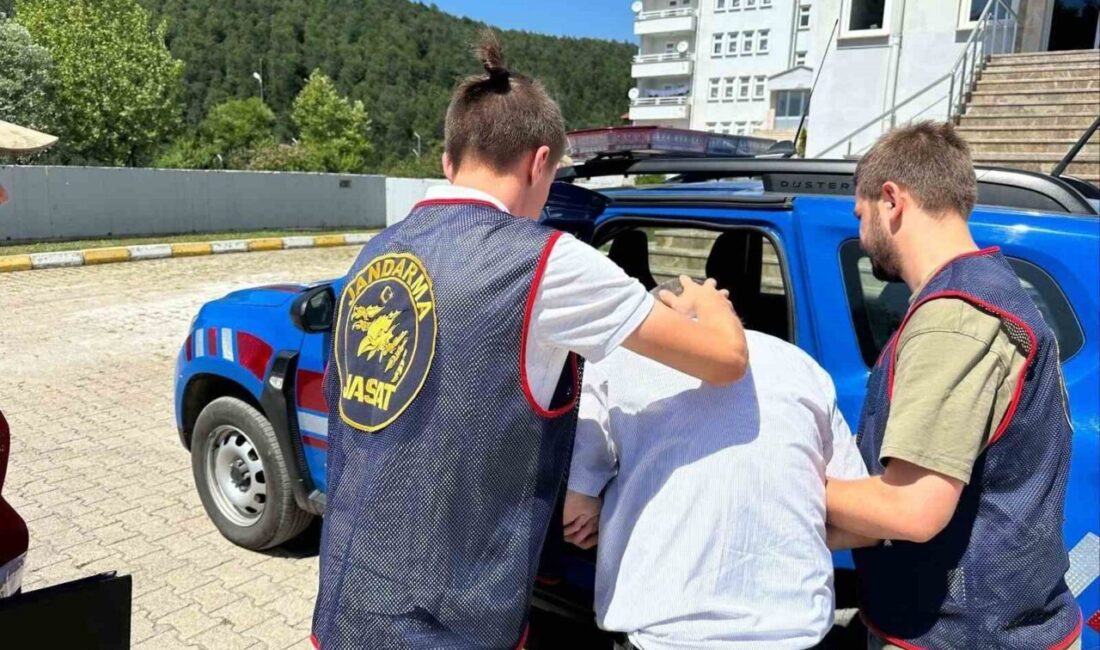 Ordu İl Jandarma Komutanlığı ekiplerince yürütülen huzur ve güven operasyonlarında