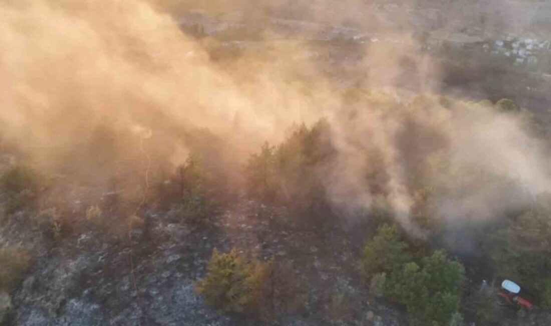 Ordu’nun Mesudiye ilçesinde ormanlık alanda çıkan yangın, ekiplerin yaptığı çalışmalar
