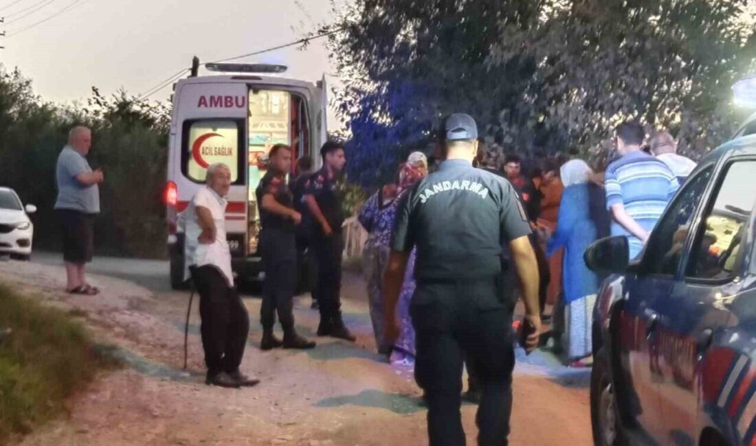 Ordu’nun Ünye ilçesinde virajı alamayan “patpat” olarak bilinen tarım aracının