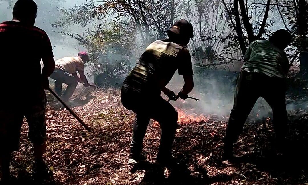 Ordu’nun İkizce ile Çaybaşı ilçelerinde çıkan fındık ve ormanlık alan